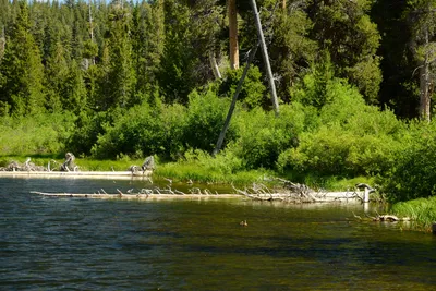 DSC_0052 (Large).JPG